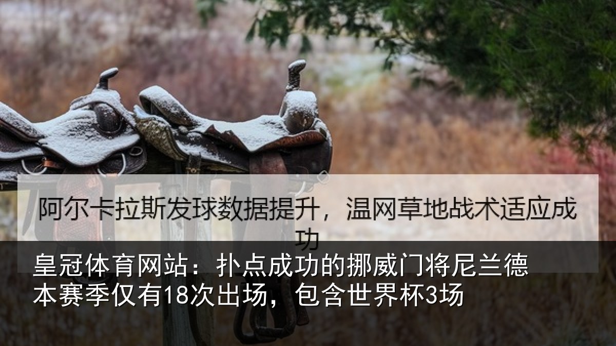 皇冠体育网站：扑点相关情况兰德相关情况，包含世界杯3场