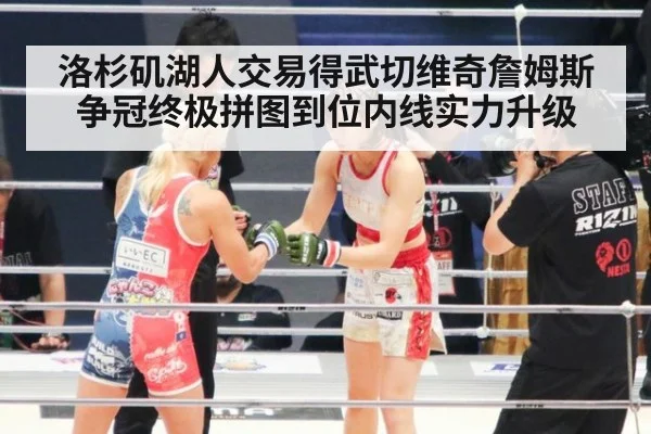 洛杉矶湖人交易得武切维奇詹姆斯争冠终极拼图到位内线实力升级